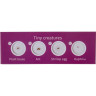 Набор микропрепаратов LEVENHUK LabZZ C12 «Существа» 72868